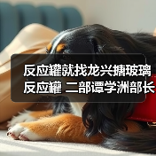 反应罐就找龙兴搪玻璃反应罐 二部谭学洲部长（图3）
