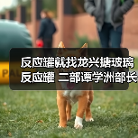 反应罐就找龙兴搪玻璃反应罐 二部谭学洲部长（图4）