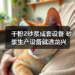 干粉2砂浆成套设备 砂浆生产设备就选龙兴（图1）
